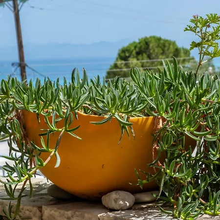 Theasea House Διαμέρισμα Άγιος Νικήτας
