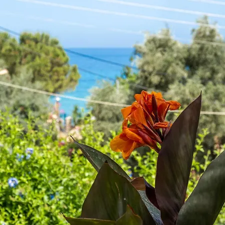 Apartmán Theasea House Áyios Nikítas